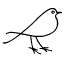 www.birdadvisors.com