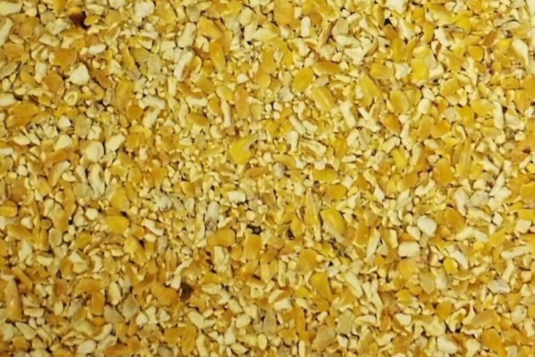 40 Types Of Birds That Eat Cracked Corn