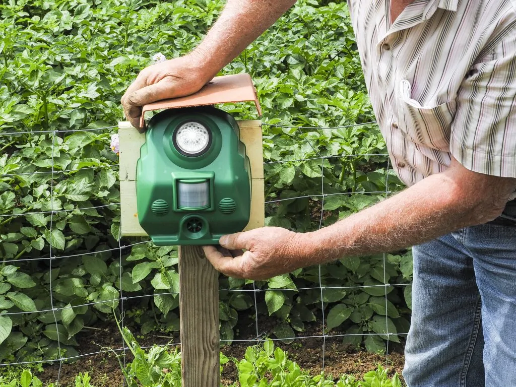 Bird Repellent spray