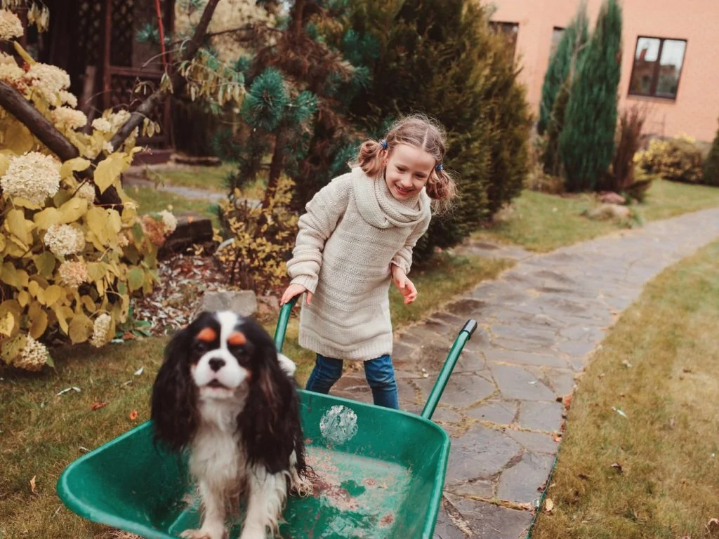 child and dog in yard