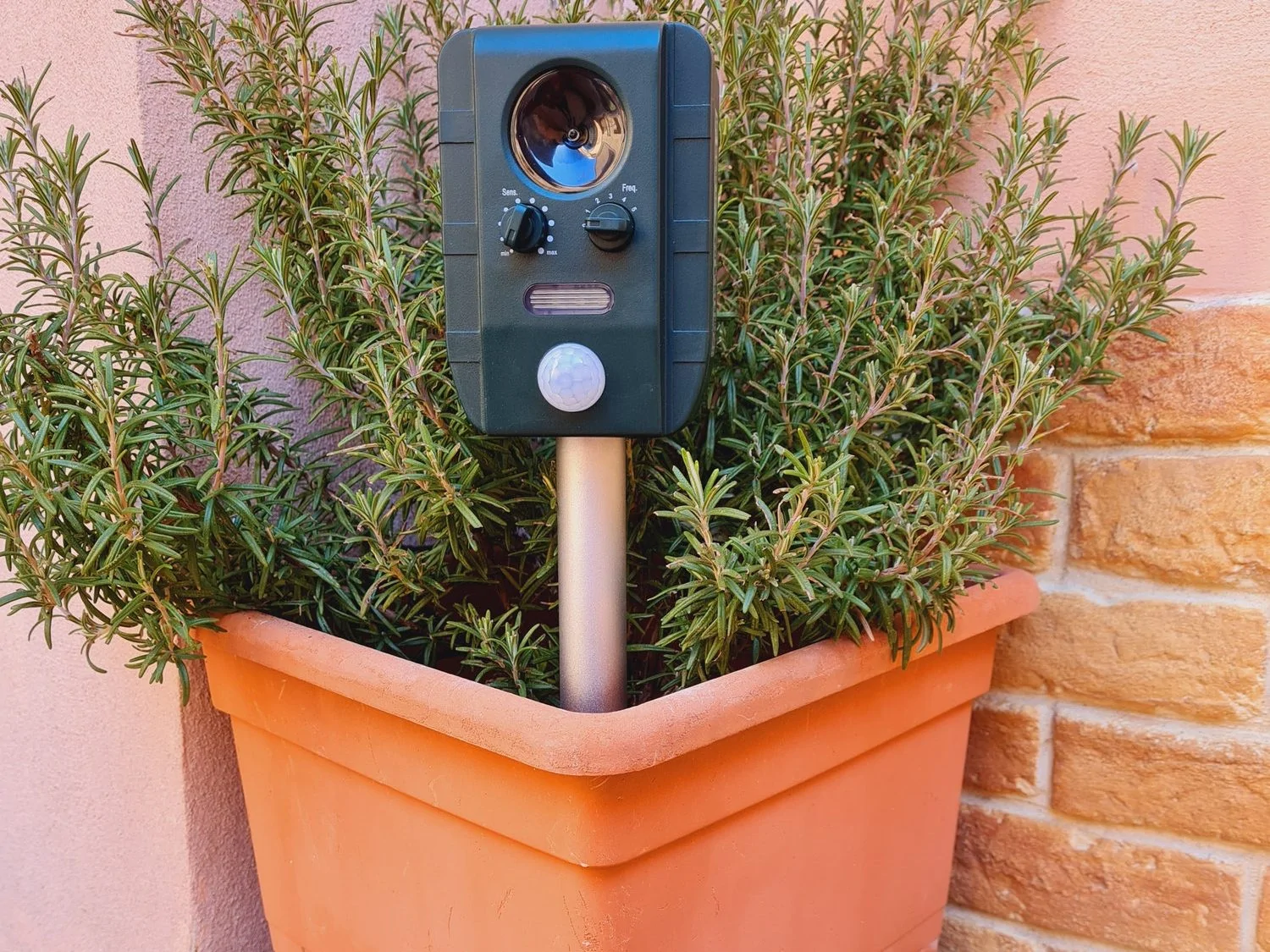 Ultrasonic scare